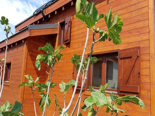 Casa prefabricada de madera con ventanas de madera y plantas verdes en primer plano.